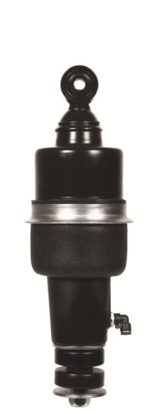 945702-cjpg1380709356